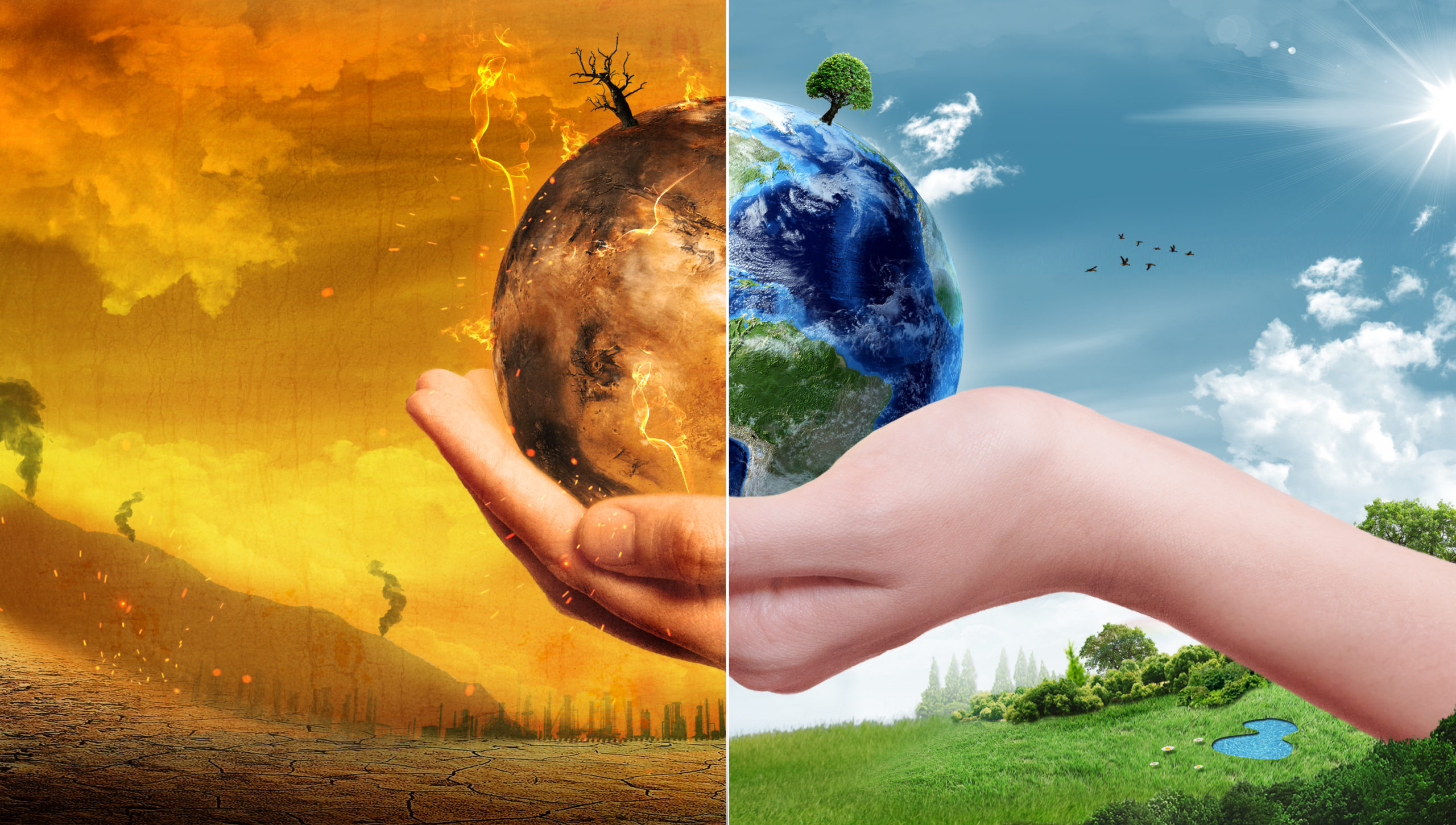 "LA TERRA NELLE VOSTRE MANI"